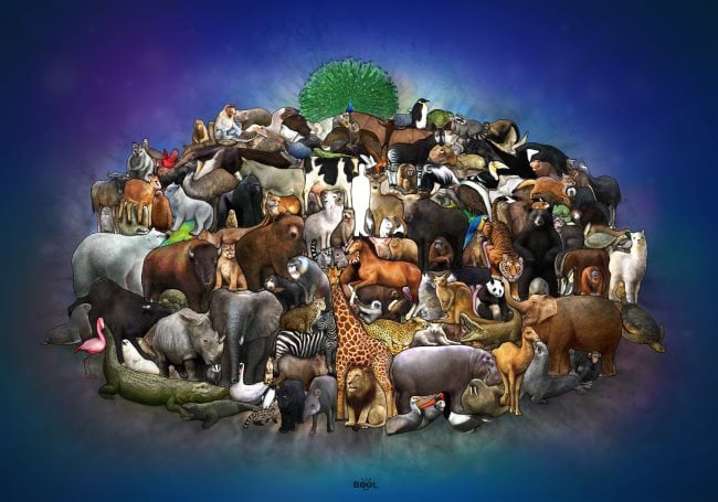 ¿Qué representan/simbolizan los animales? Los 48 más populares