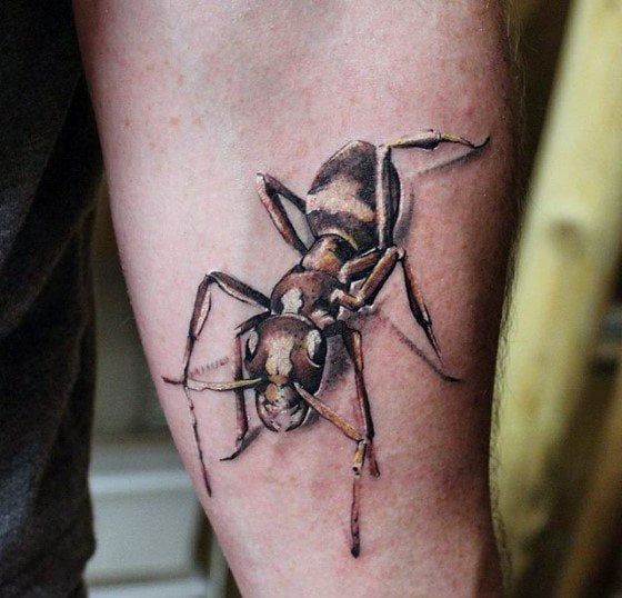 80 Tatuajes de hormigas grandes y pequeñas y su significado