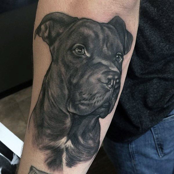 tatuaje perro 16