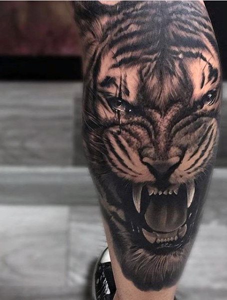 tatuaje tigre 284