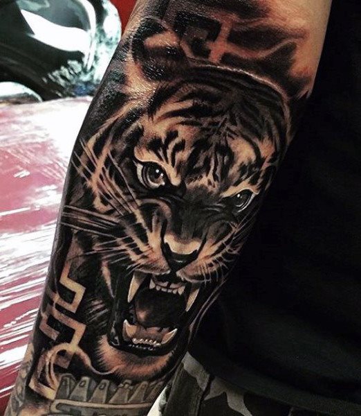 tatuaje tigre 661