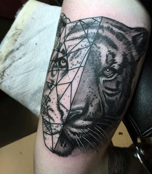 tatuaje tigre 856
