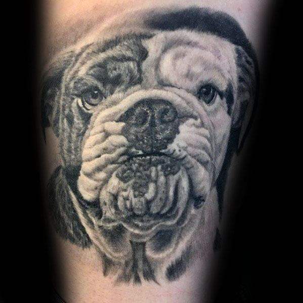 tatuaje bulldog 02