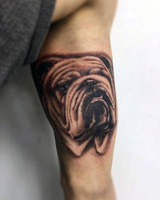 tatuaje bulldog 50