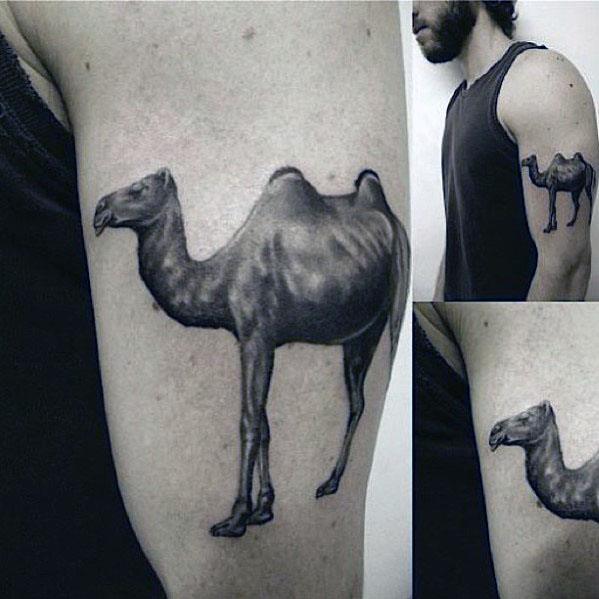 tatuaje camello 23