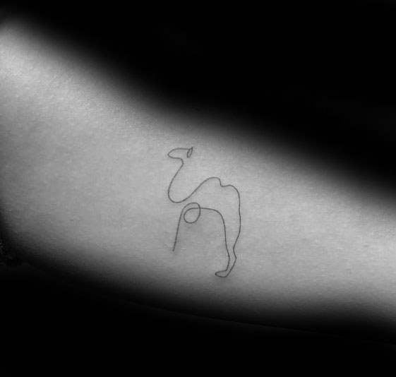 tatuaje camello 26
