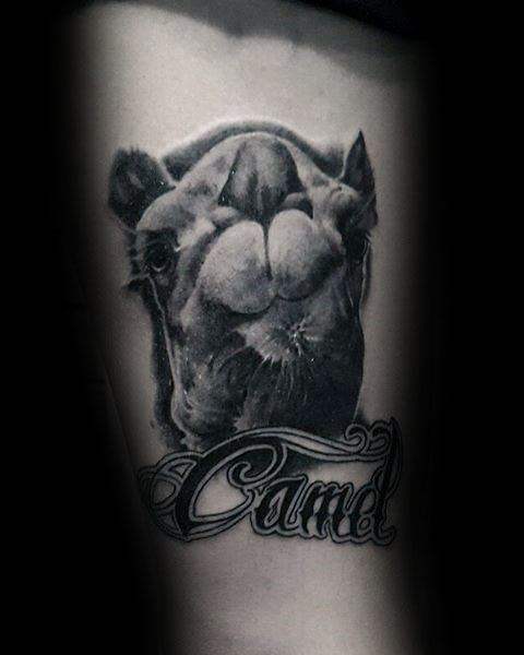 tatuaje camello 41