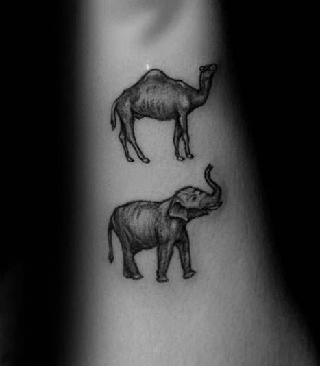 tatuaje camello 47