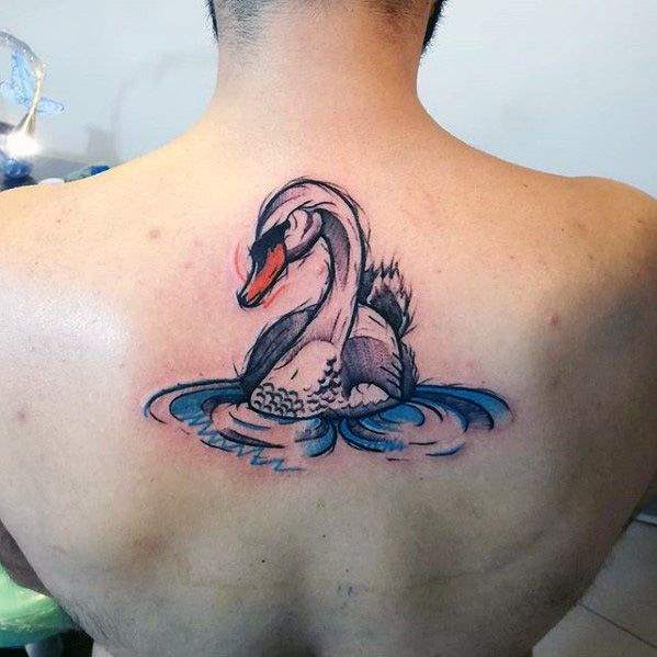 47 Tatuajes de cisnes (con el significado)