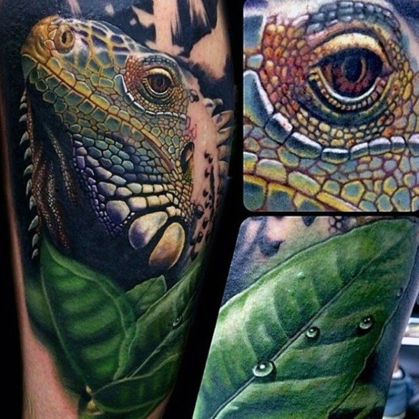 tatuaje iguana 04