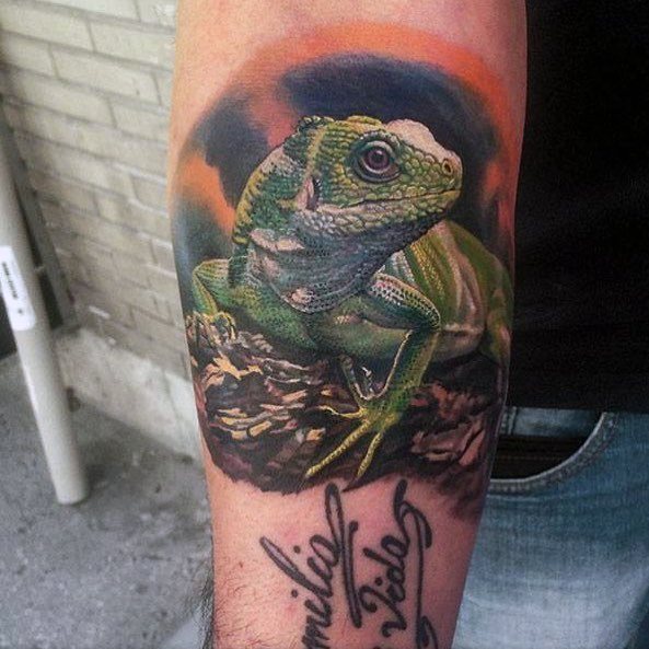 tatuaje iguana 34