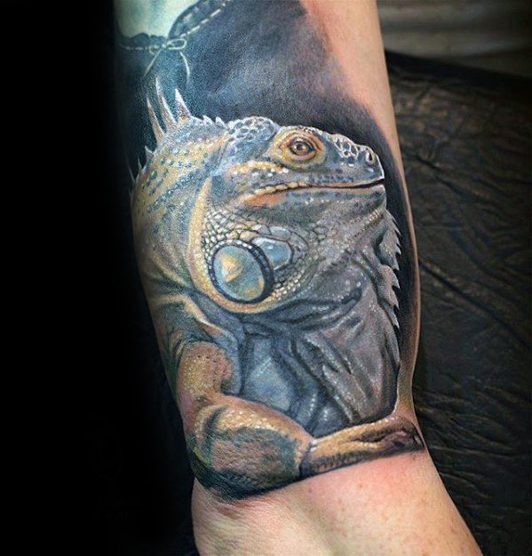 tatuaje iguana 46