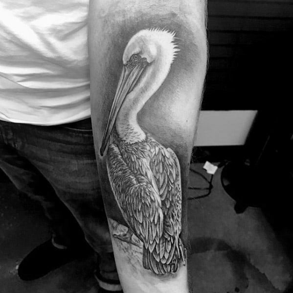 tatuaje pelicano 01