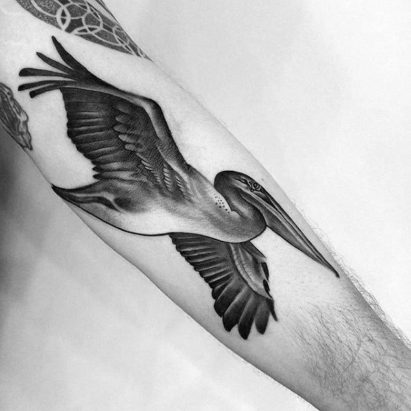 tatuaje pelicano 10