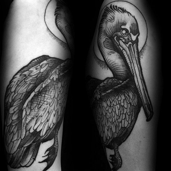 tatuaje pelicano 103