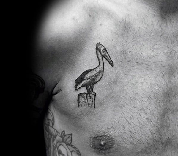 tatuaje pelicano 106