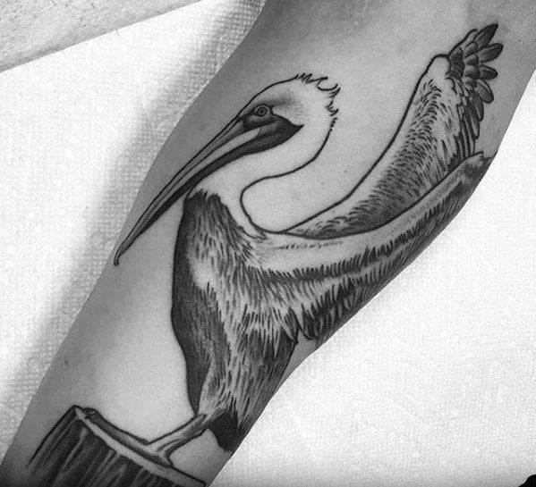 tatuaje pelicano 25