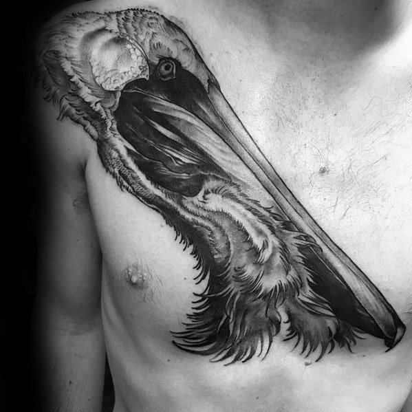 tatuaje pelicano 61