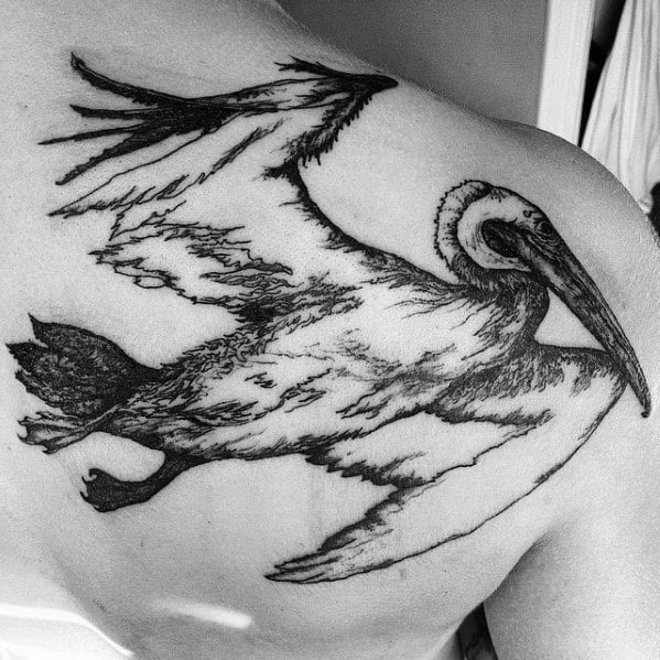 tatuaje pelicano 91