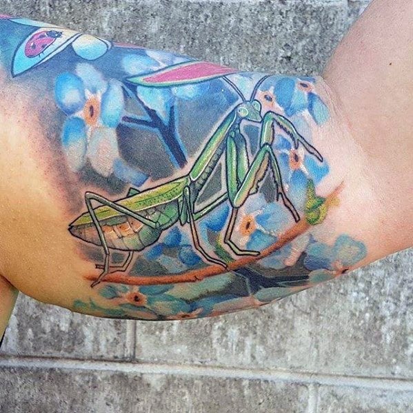 53 Tatuajes de mantis religiosas (con el significado)