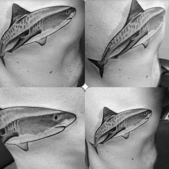 tatuaje tiburon tigre 12