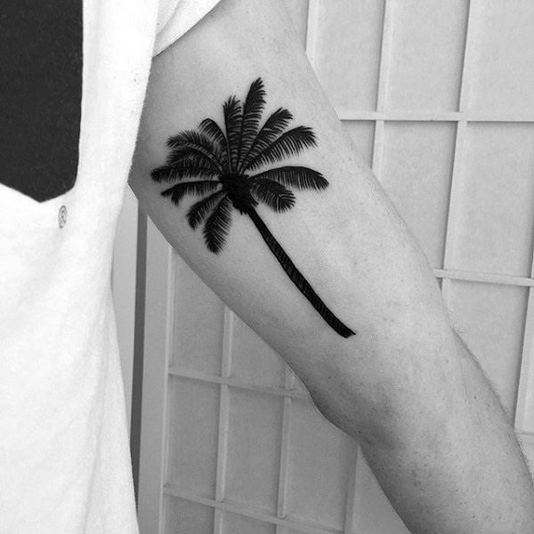 tatuaje palmera 165