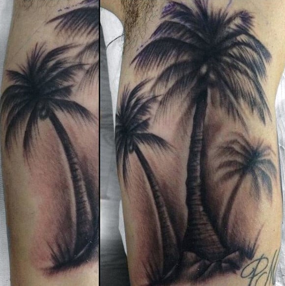 tatuaje palmera 37