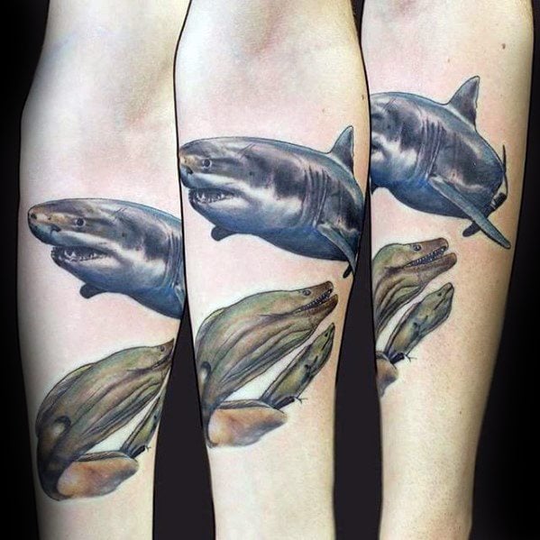 tatuaje anguila 62