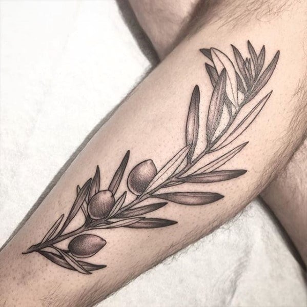 tatuaje olivo arbol 18