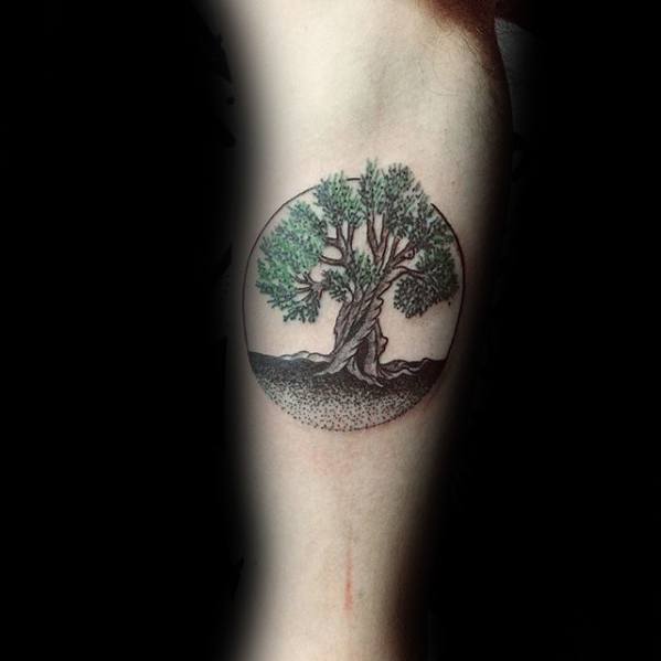 tatuaje olivo arbol 32