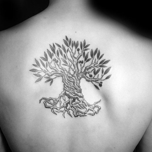 tatuaje olivo arbol 36