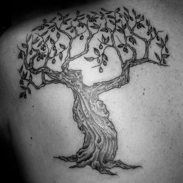 tatuaje olivo arbol 38