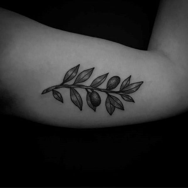 tatuaje olivo arbol 50