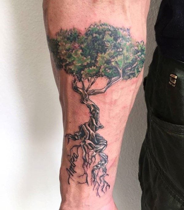 tatuaje olivo arbol 54