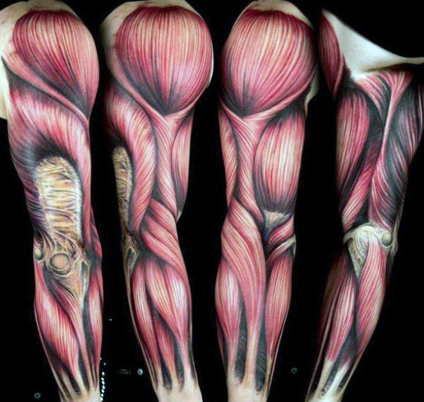 tatuaje musculos tendones 145