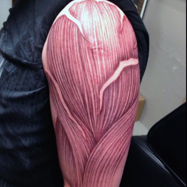 tatuaje musculos tendones 237