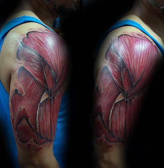 tatuaje musculos tendones 241