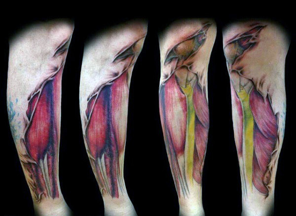 tatuaje musculos tendones 25
