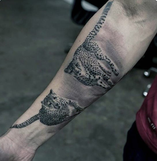 tatuaje guepardo 08