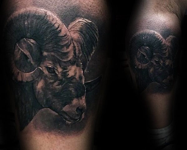 tatuaje carnero 109