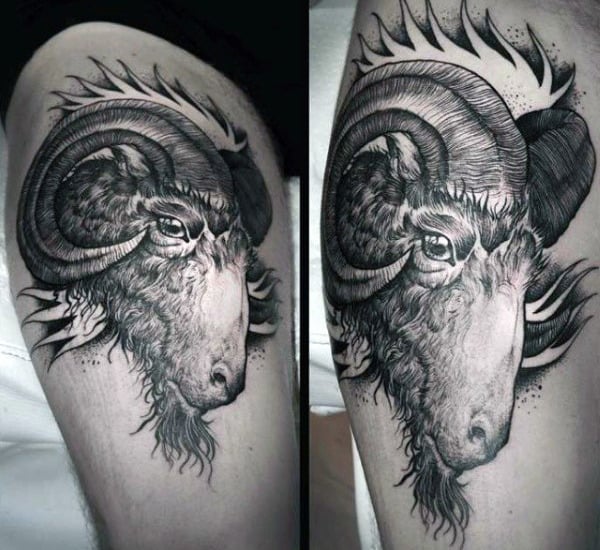 tatuaje carnero 142