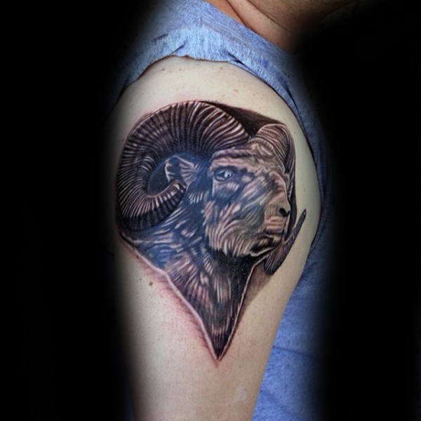 tatuaje carnero 181