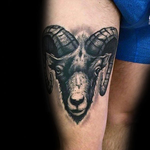 tatuaje carnero 64