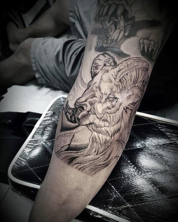 tatuaje carnero 76