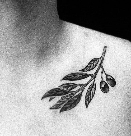 tatuaje rama de olivo 07