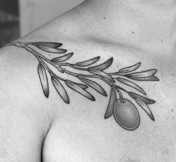 tatuaje rama de olivo 10