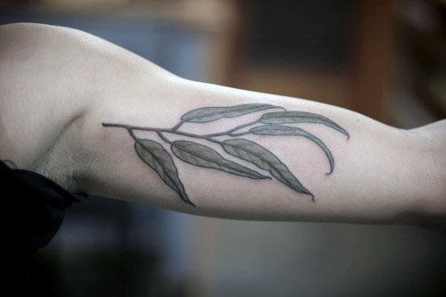 tatuaje rama de olivo 136