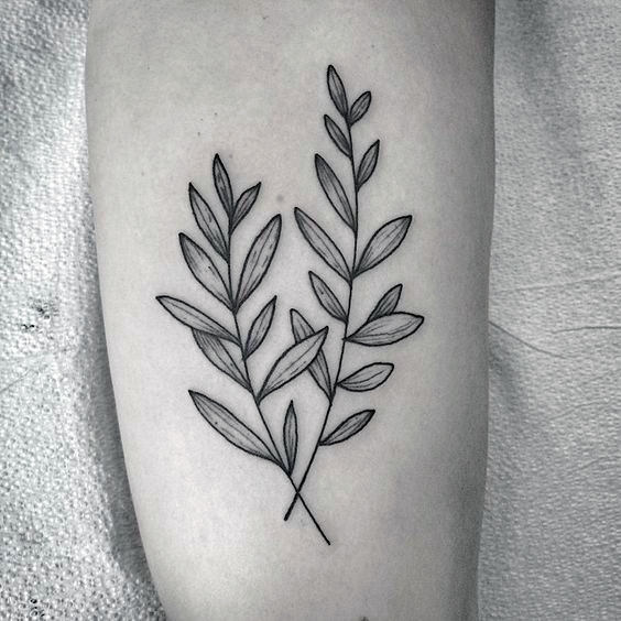tatuaje rama de olivo 154