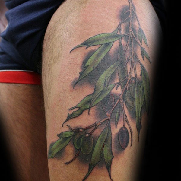 tatuaje rama de olivo 163