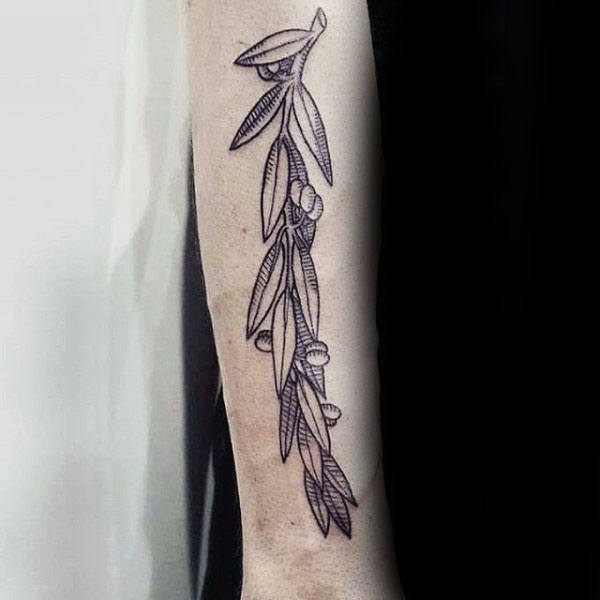 tatuaje rama de olivo 181